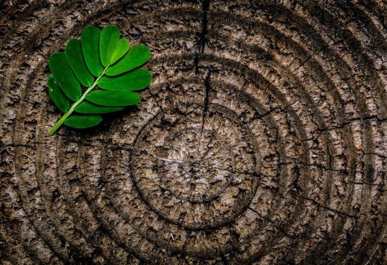 Environmental Sustainability Strategy